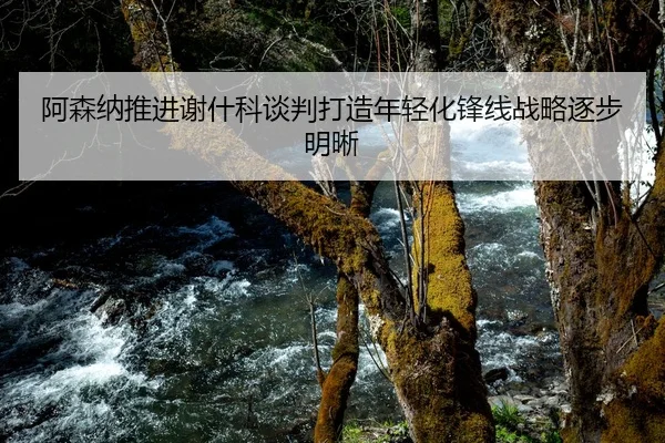阿森纳推进谢什科谈判打造年轻化锋线战略逐步明晰