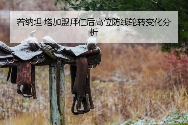 若纳坦·塔加盟拜仁后高位防线轮转变化分析