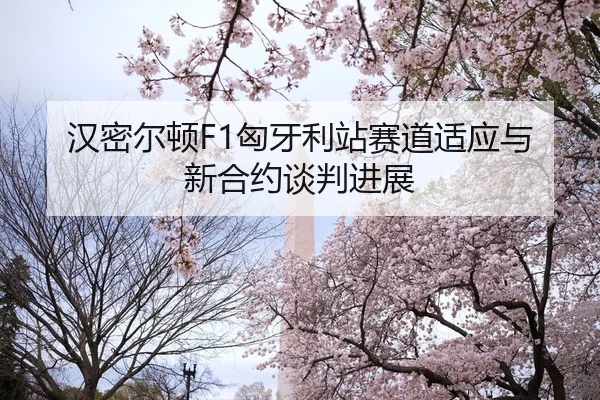 han-mi-er-dun-xiong-ya-li-zhan-sai-dao-shi-ying-yu-xin-he-yue-tan-pan-jin-zhan-2-596.jpg