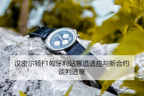 han-mi-er-dun-xiong-ya-li-zhan-sai-dao-shi-ying-yu-xin-he-yue-tan-pan-jin-zhan-3-982.jpg