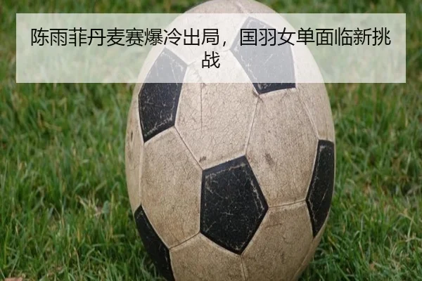 陈雨菲丹麦赛爆冷出局，国羽女单面临新挑战
