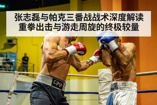 张志磊与帕克三番战战术深度解读重拳出击与游走周旋的终极较量